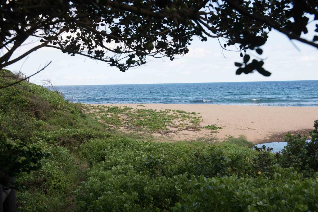 Sole'S Leap Villa Scottburgh Ngoại thất bức ảnh